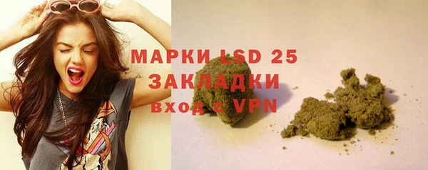ПСИЛОЦИБИНОВЫЕ ГРИБЫ Алзамай