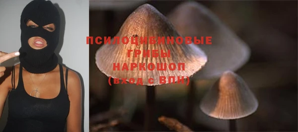 ПСИЛОЦИБИНОВЫЕ ГРИБЫ Алзамай