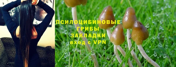 ПСИЛОЦИБИНОВЫЕ ГРИБЫ Алзамай