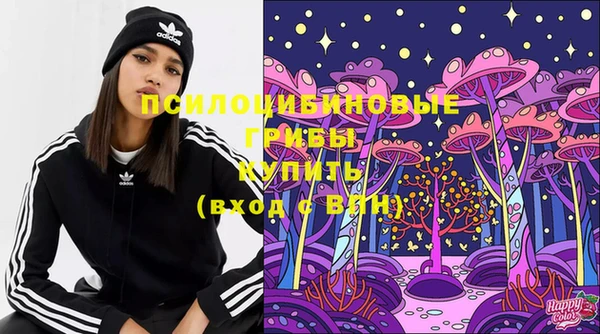 ПСИЛОЦИБИНОВЫЕ ГРИБЫ Алзамай