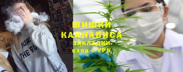 ПСИЛОЦИБИНОВЫЕ ГРИБЫ Алзамай