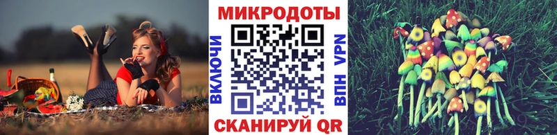 Псилоцибиновые грибы Psilocybine cubensis  наркотики  Дмитровск 